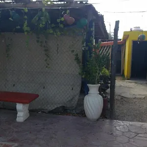  Campsite Y Camping G